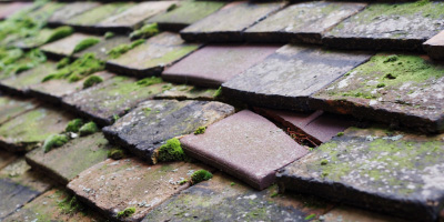 Ramsey roof repair costs